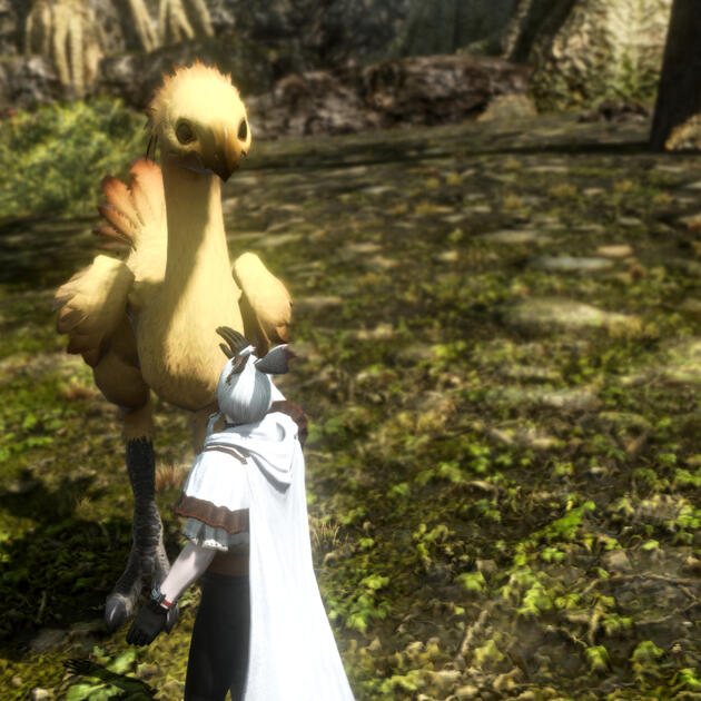 While exploring prior to his work, he had met the wild, part-courser chocobo that later came to his rescue when he was attacked. She is still, technically, wild, but she thinks of Tea as her chick, and Tea has named her Sugar.
