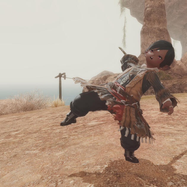 From the village of Crescent Cove in Thanalan, Kakari was part of a family line that can trace it back as far as the Sultanas herself. Though much less prestigious. Kakari comes from a line of smugglers and criminals.