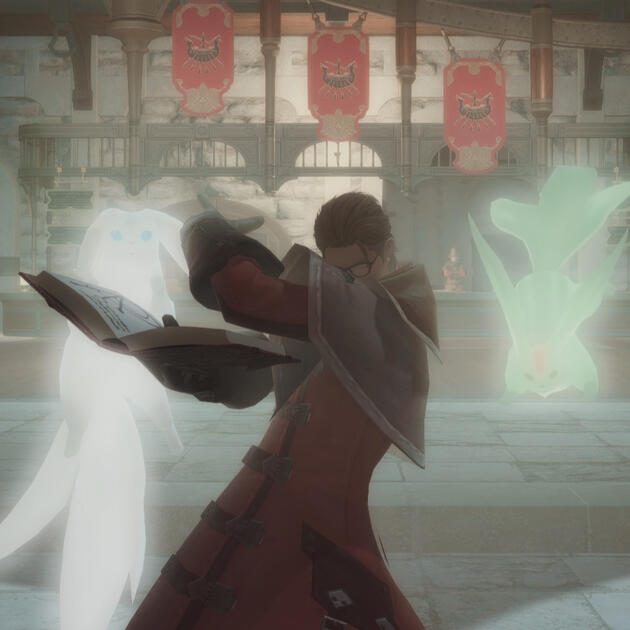 Tan hails from the South Sea islands, and brings with him a firmer understanding of Arcanima than most Arcanists or even Nymean Scholars know. He uses his ability to summon two healing carbuncles, one green one white, to aid the Maelstrom