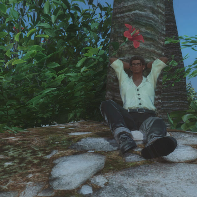 Having moved around a lot growing up, and having fought with both outlaw pirates AND the Maelstrom, Tan considers himself wise despite his youth, having seen both sides of most conflicts he has taken part in.